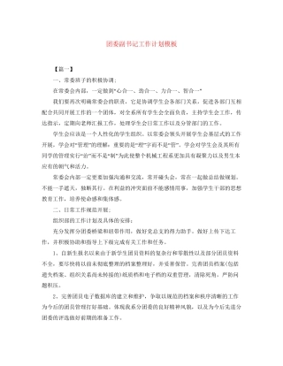 团委副书记工作计划模板