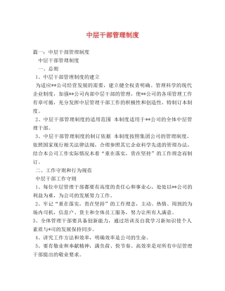 中层干部管理制度 