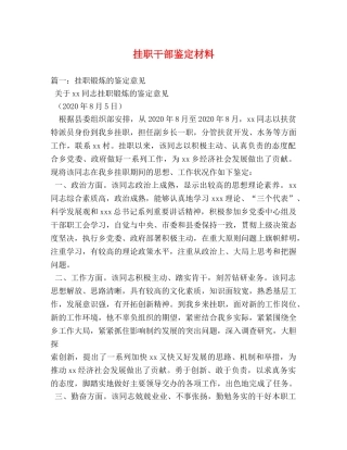 挂职干部鉴定材料 