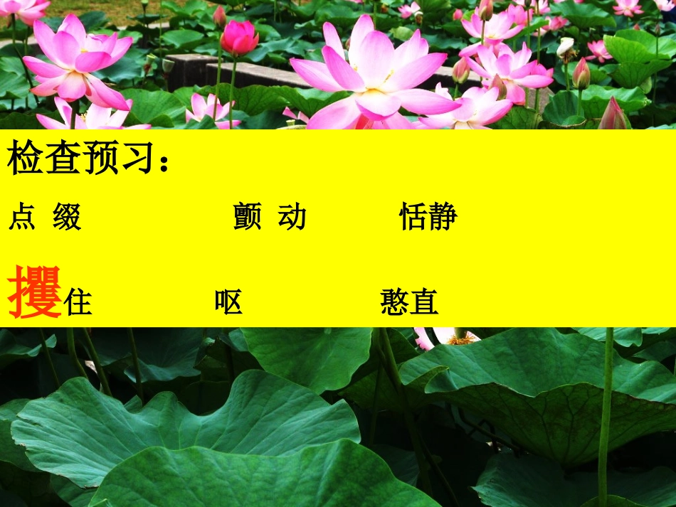荷塘旧事课件(北师大版六年级语文上册课件)_第3页