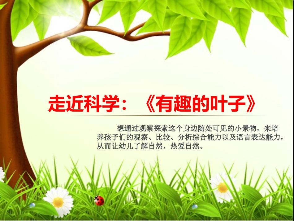 走进科学《有趣的叶子》_第1页