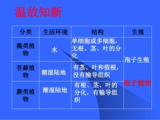 初一生物《种子植物》PPT课件