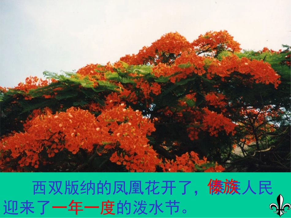 《欢乐的泼水节》课件_第3页