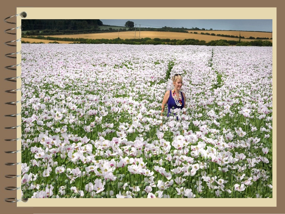 珍爱生命_远离毒品_——禁毒教育 (2)_第3页