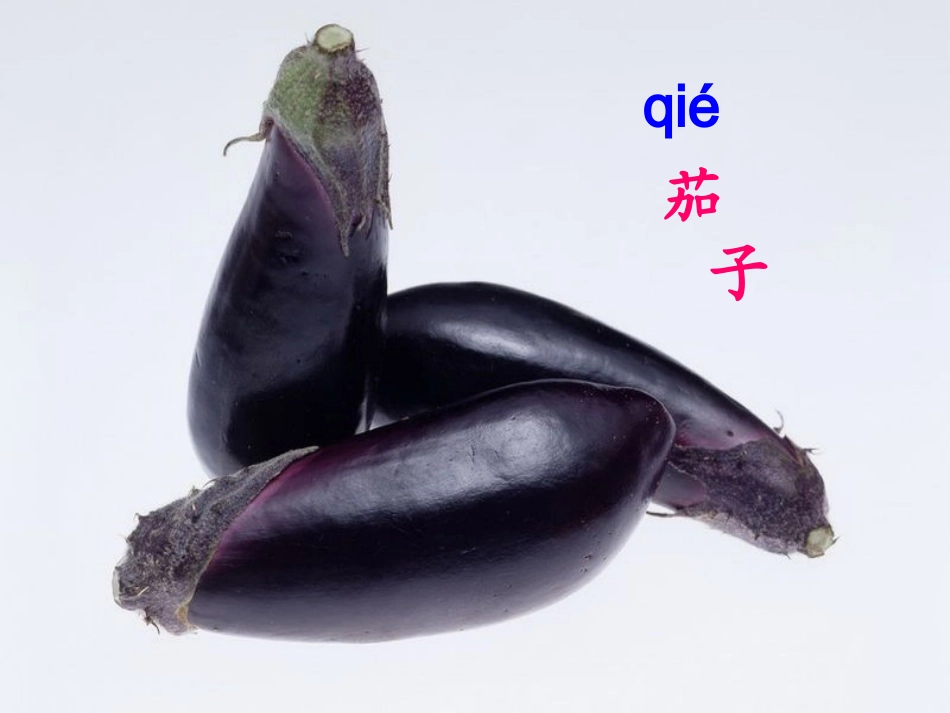 《汉字家园一》课件_第2页