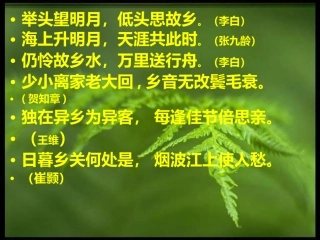 《乡愁》课件324(1)