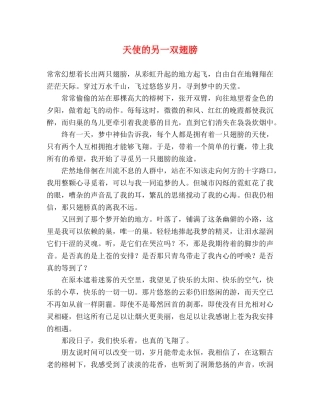 天使的另一双翅膀 