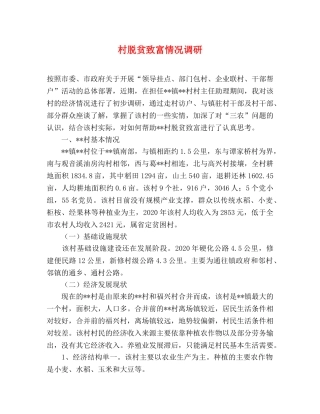 村脱贫致富情况调研 