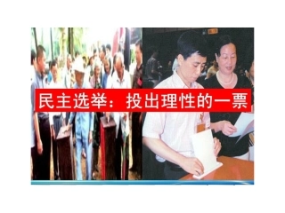 民主选举：投出理性的一票