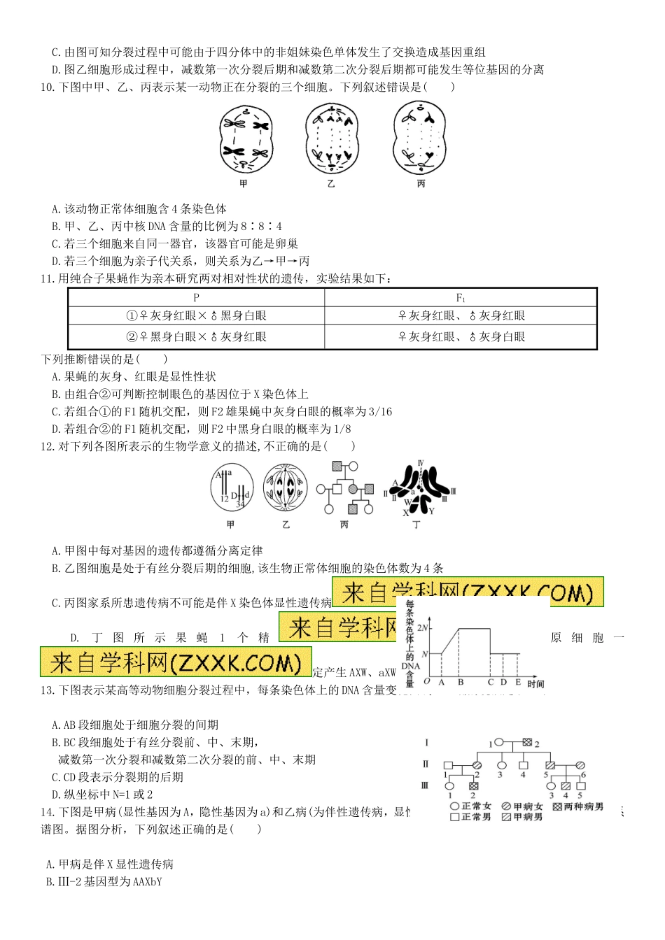 遗传的基本规律复习题_第2页