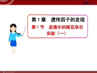 高中生物同步课件：第1章第1节孟德尔的豌豆杂交实验（一）（人教版必修2）