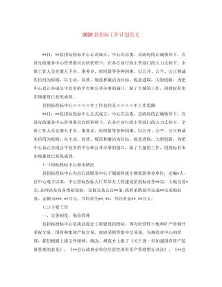 县招标工作计划范文