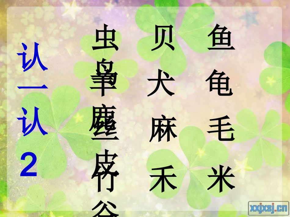 认一认5(课件)_第3页