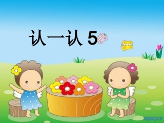 认一认5(课件)