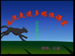 孔丽的课件狼