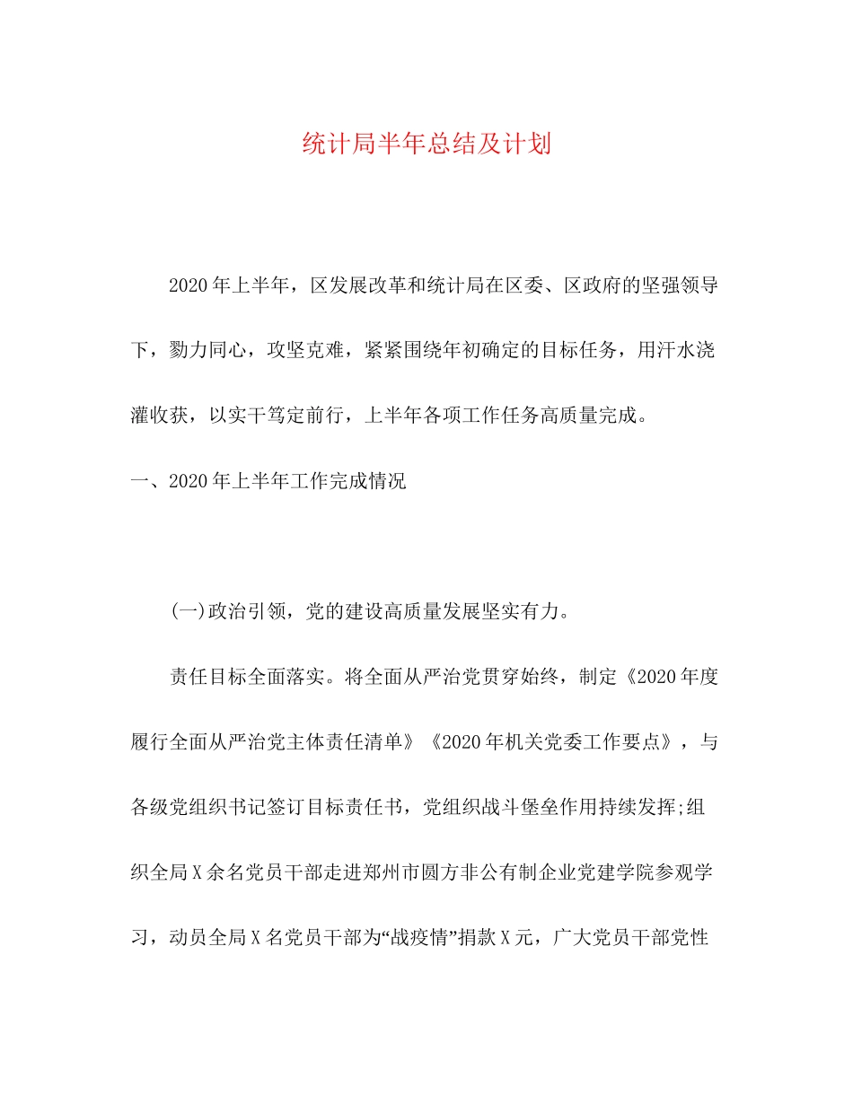 统计局半年总结及计划_第1页