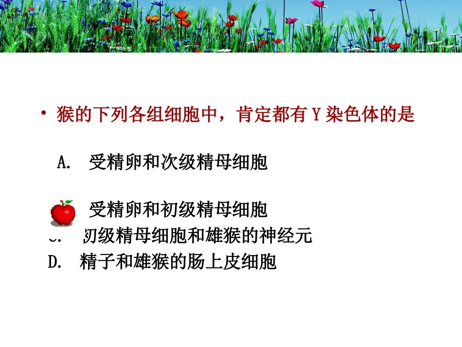 孟德尔杂交实验一_第1页