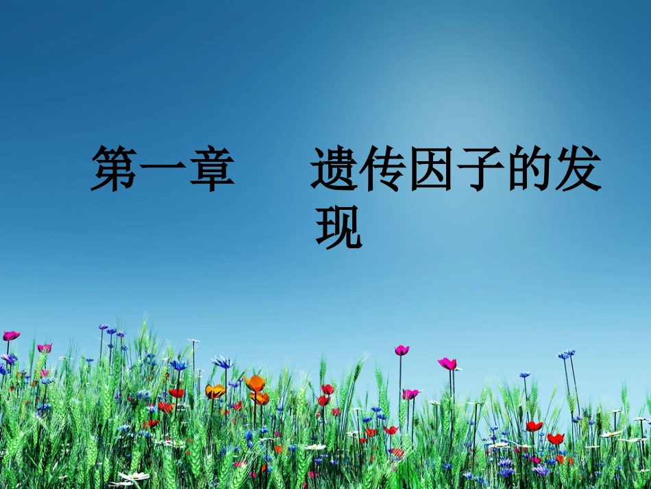 孟德尔杂交实验一_第2页