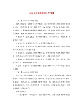 2020年公司销售计划【三篇】