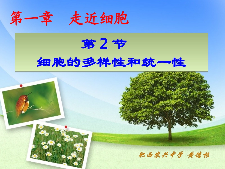 走进细胞---显微镜_第1页