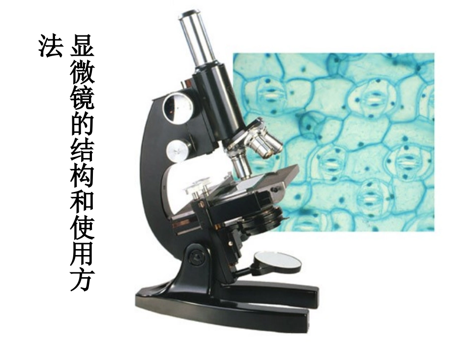 走进细胞---显微镜_第2页