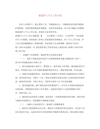 新进护士个人工作计划