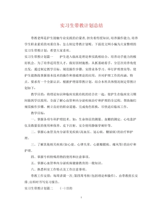 实习生带教计划总结