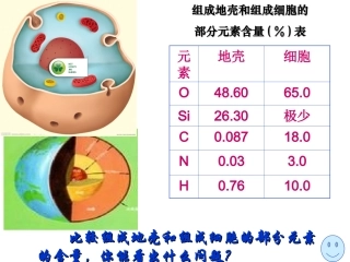细胞中的元素和化合物 