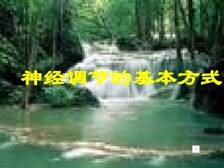 神经调节的基本方式_第1页