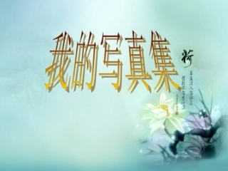 设置动画效果 (2)