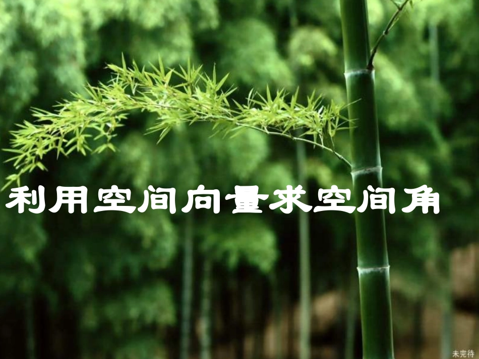 利用空间向量求空间角_第1页