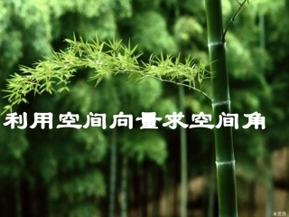 利用空间向量求空间角