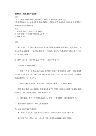 动物是怎样行走的