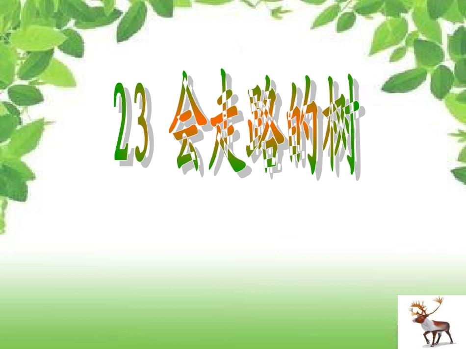 《会走路的树》课件设计制作_第3页