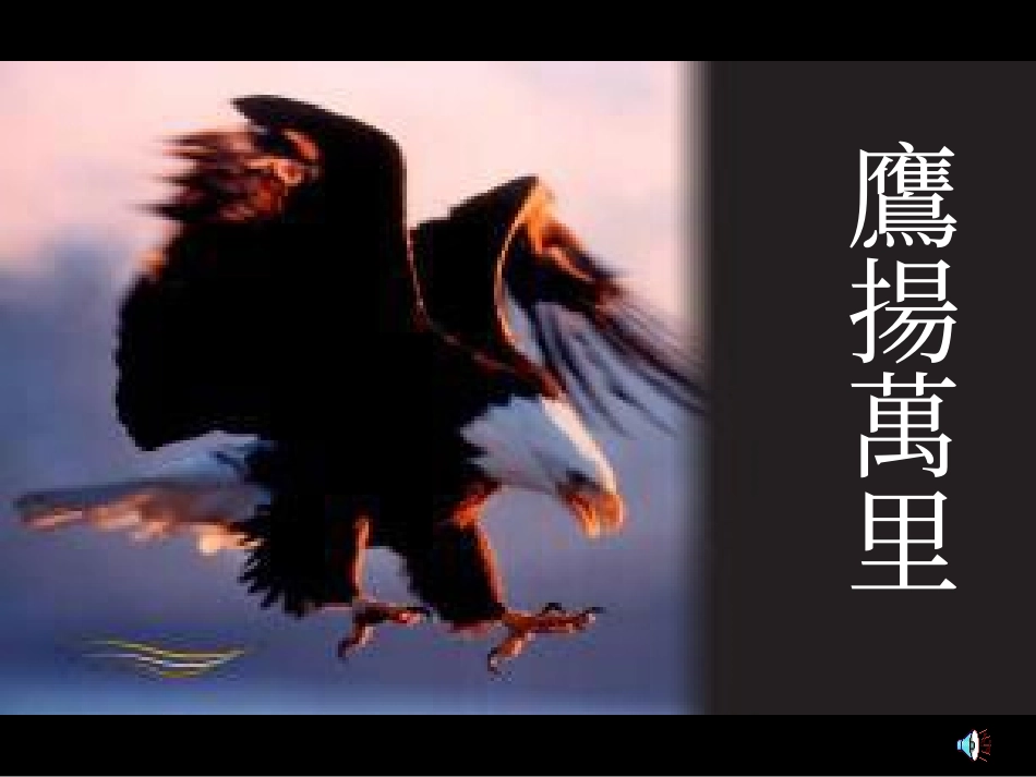 心态培训——鹰扬万里_第1页