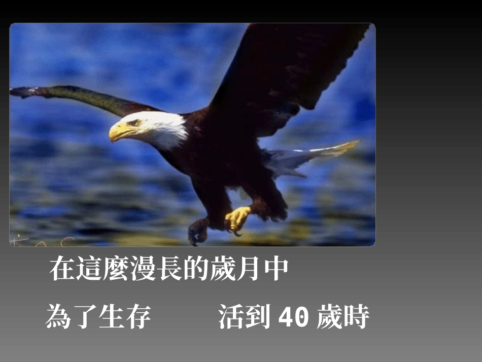 心态培训——鹰扬万里_第3页