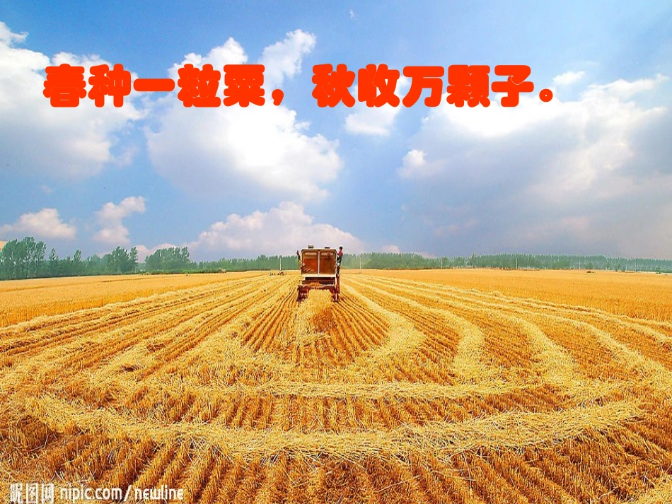 分式乘除课件_第3页