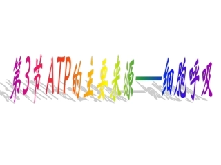 ATP的主要来源——细胞呼吸