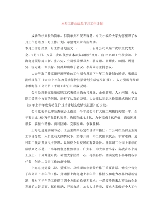 本月工作总结及下月工作计划