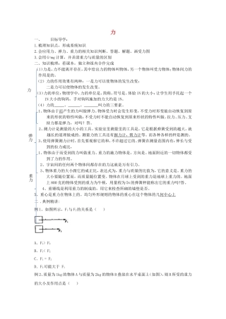 八年级物理下册第七章力复习学案（无答案）（新版）新人教版