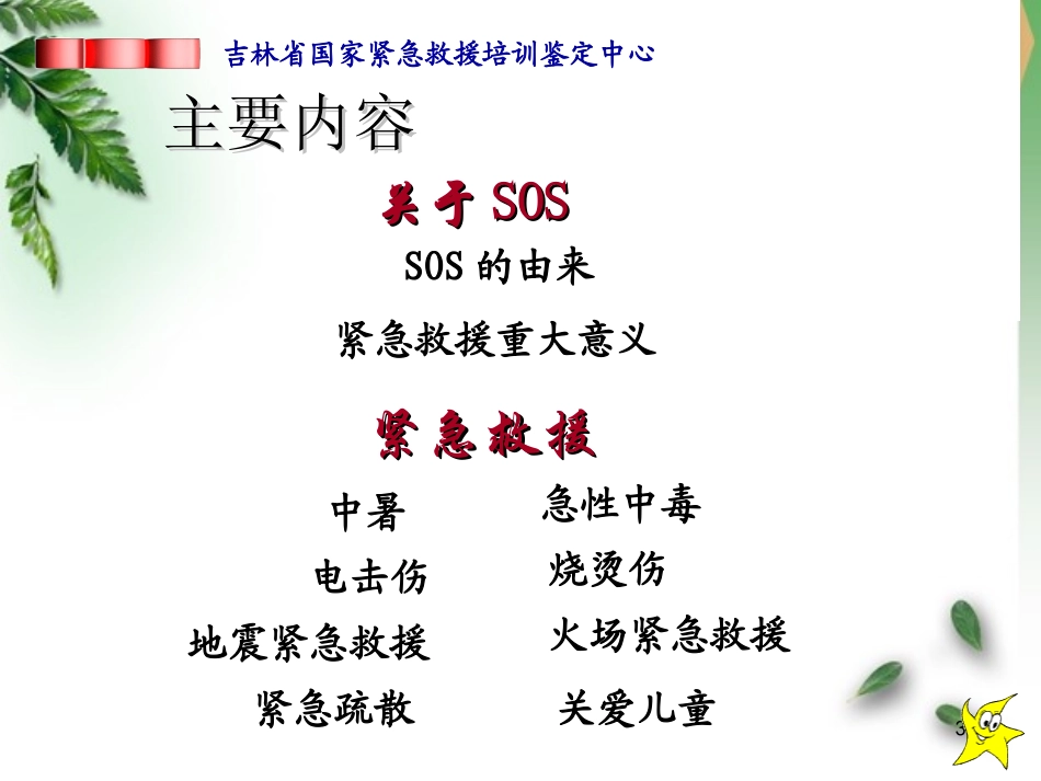 紧急救援培训_第3页