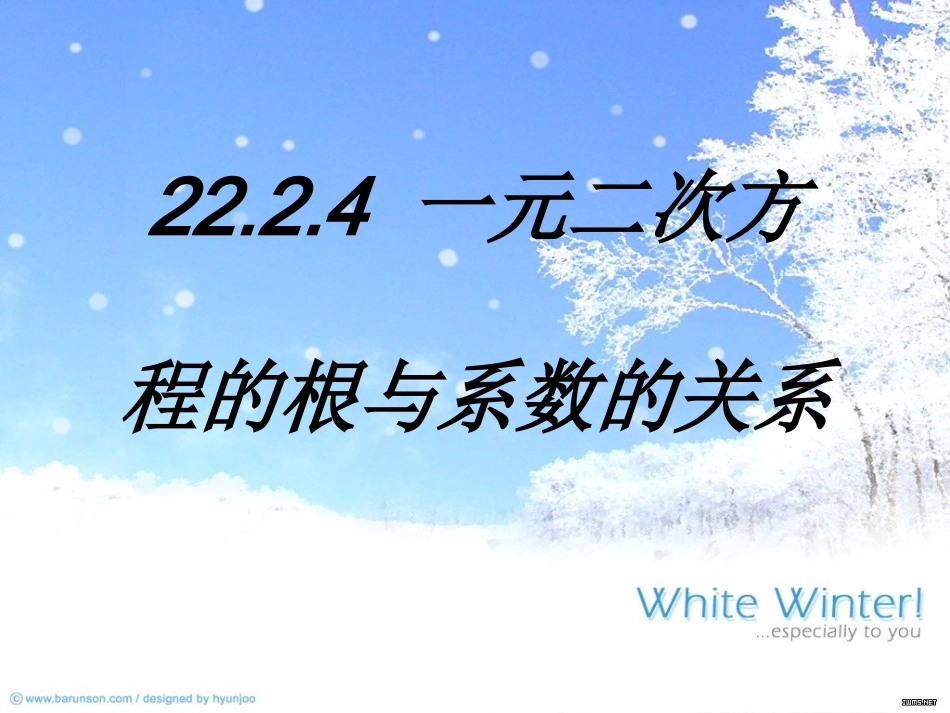 2224一元二次方程的根与系数的关系_第1页