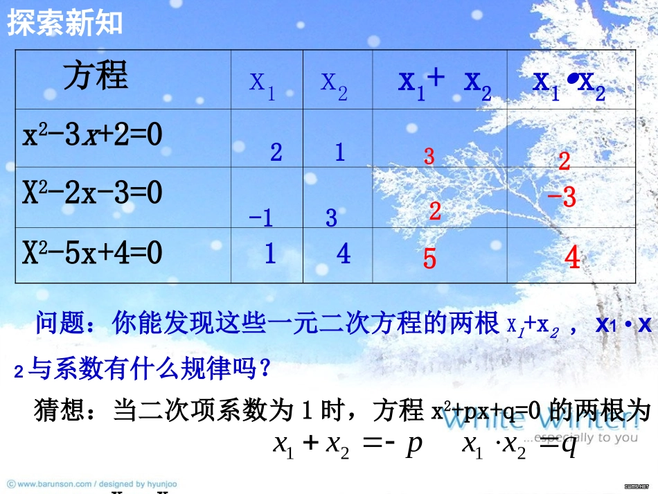 2224一元二次方程的根与系数的关系_第3页