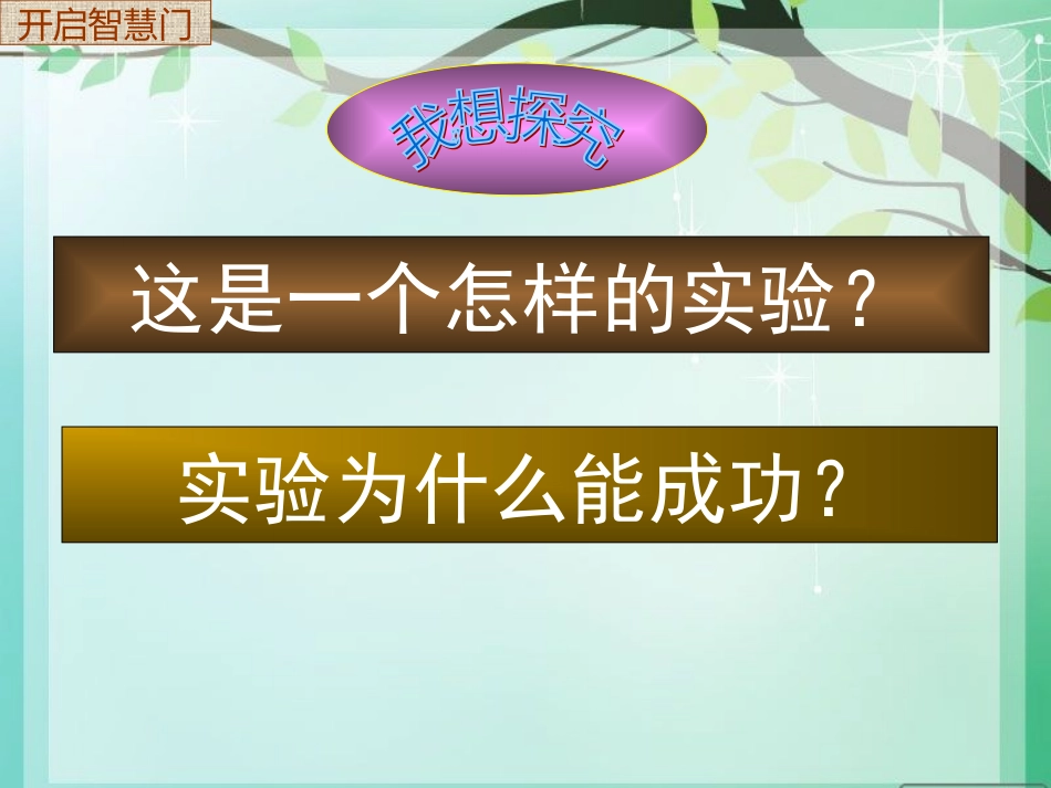 一次成功的实验2_第3页