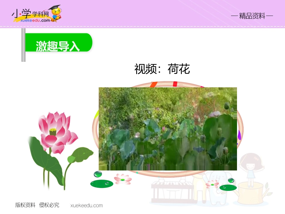 【精品】14荷叶圆圆（课件PPT）-鲁教版-一年级语文下册_第3页