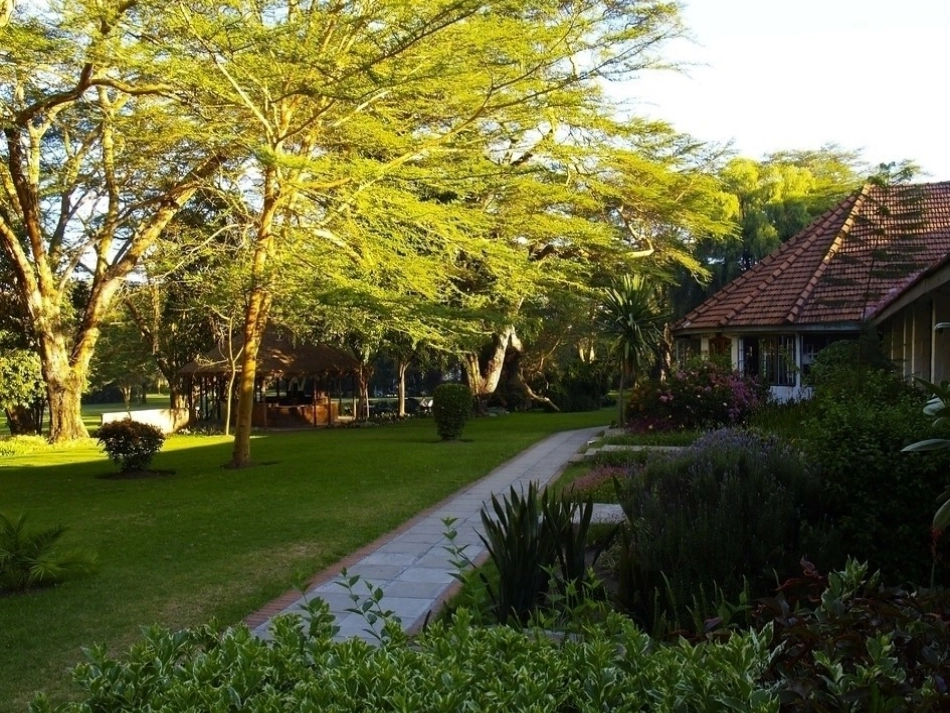 描写春天景物的图片_第3页