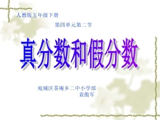 真分数和假分数2