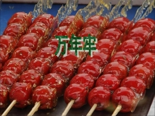 《万年牢》教学课件1