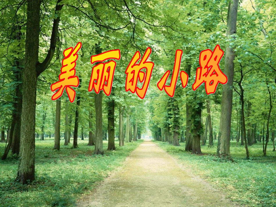美丽的小路 (2)_第1页