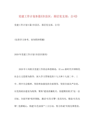 党建工作计划5篇市县区，基层党支部，公司)